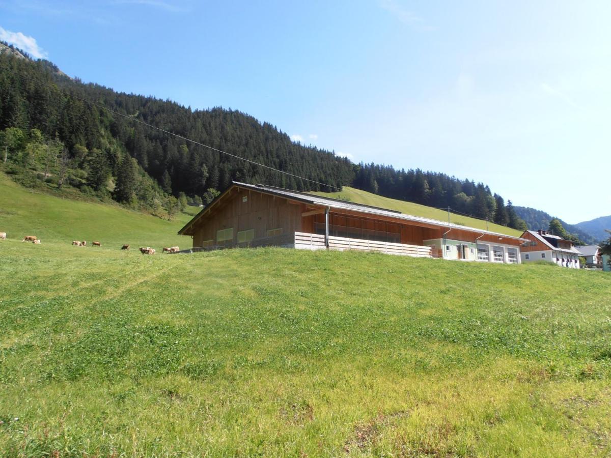 Huberbauer Villa Johnsbach Exterior photo